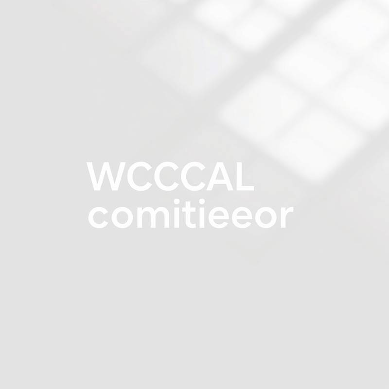 WCAG 2.1 Conformance